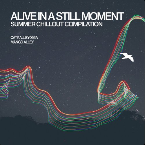 Alive in a Still Moment