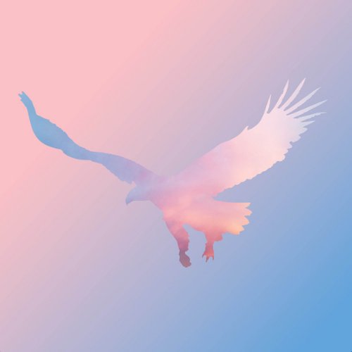 Momentum