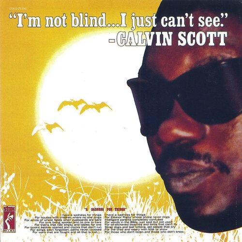 I'm Not Blind...I Just Can't See