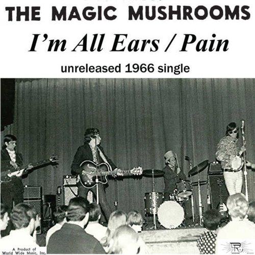 I'm All Ears / Pain