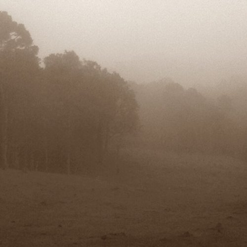 Into the Solitude