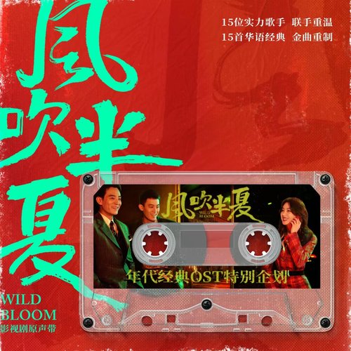 其實你不懂我的心 (《風吹半夏》年代經典OST特別企劃) - Single