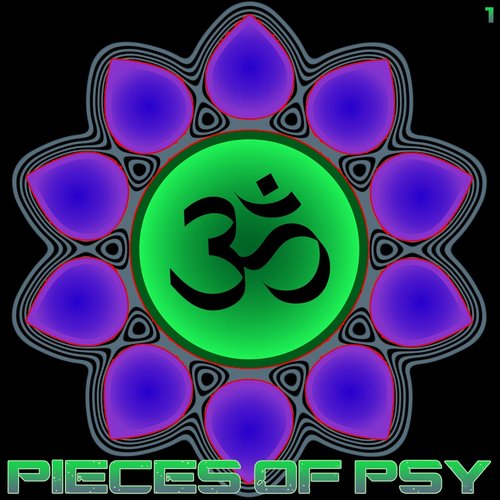 Pieces of Psy 1