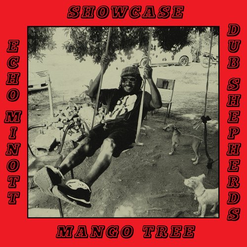 Mango Tree Showcase
