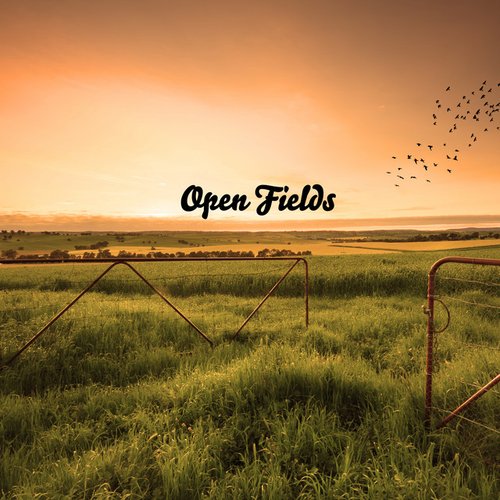 Open Fields
