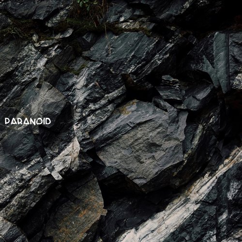 Paranoid