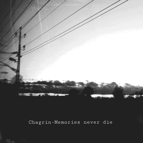 Memories never die