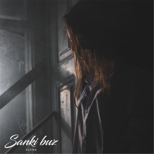 Sanki Buz