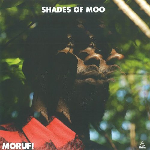 Shades Of Moo