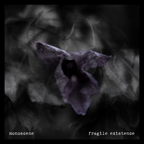 Fragile Existence - Single