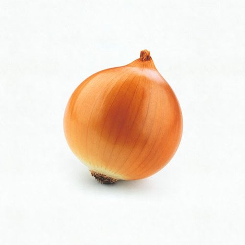 onion [Explicit]