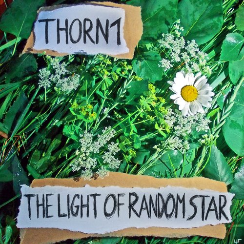 The Light of Random Star