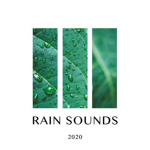 Rain Sounds 2020