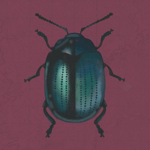 Plum Sky - single