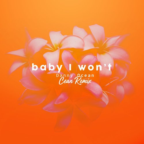 Baby I Won't (Cean Remix)