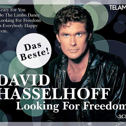 Looking for Freedom - Das Beste!