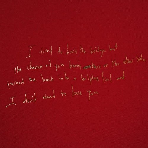 I Don't Wanna Love You