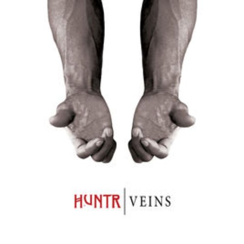 Veins