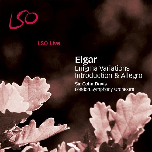 Elgar: Enigma Variations, Introduction & Allegro