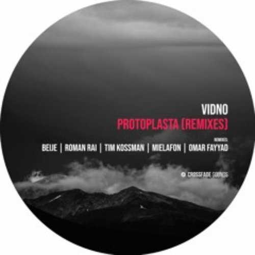 Protoplasta EP (Remixes)