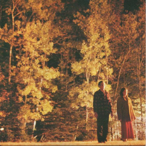 Songs Put Together for (The Broken Giant)