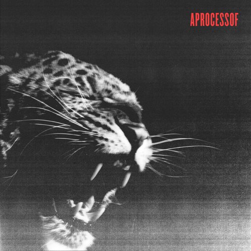 A Process Of [Explicit]