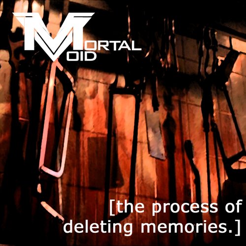 The Process of Deleting Memories