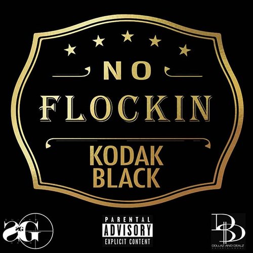 No Flockin - Single