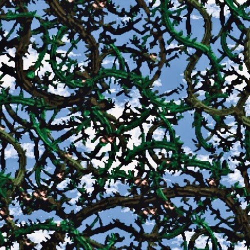 Algorithm’s End