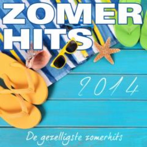 Zomerhits 2014