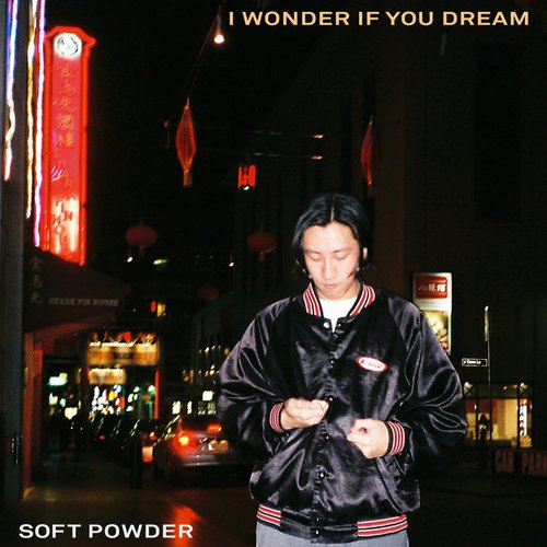 I Wonder If You Dream