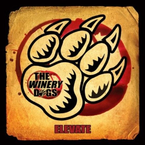 Elevate - Single