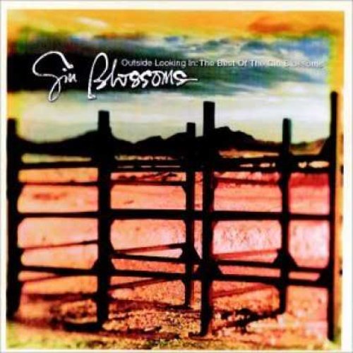 The Best of Gin Blossoms