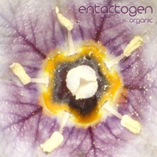 Mixotic 012 - Entactogen - Organic