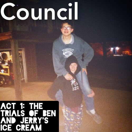 THE COUNCIL ACT 1