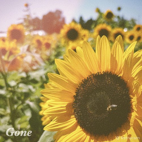 Gone