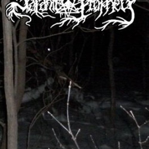 Echoes Of The Unheard