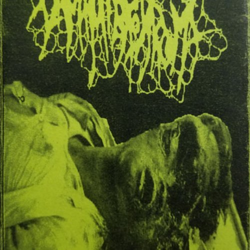 Molested Under Anestesia
