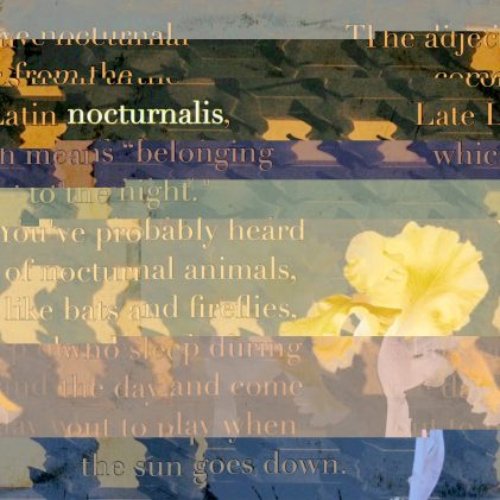 nocturnalis - Single