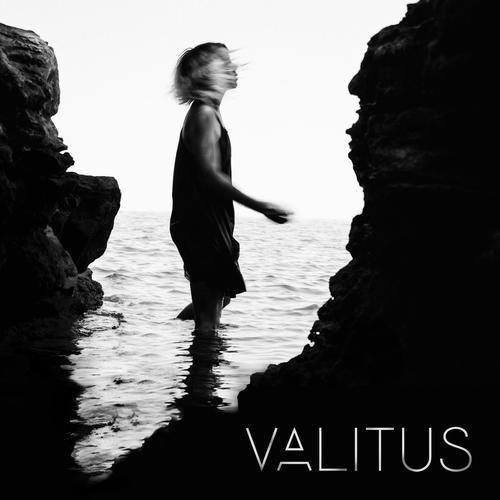 Valitus