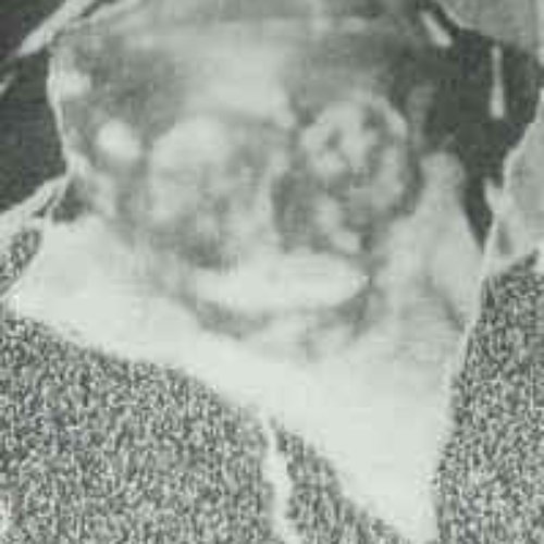 Demo I