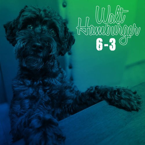 6-3