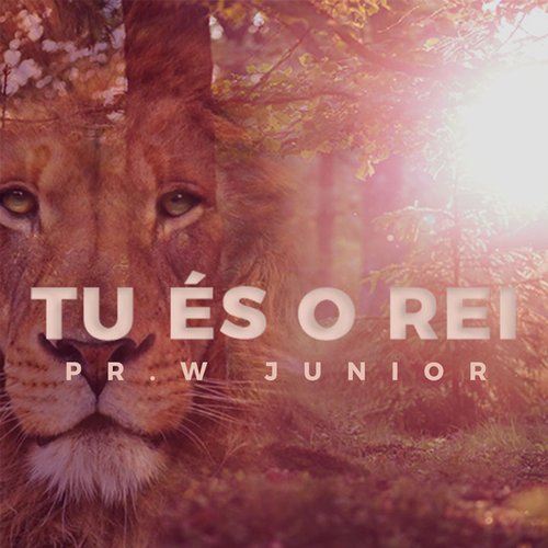 Tu És O Rei - Single