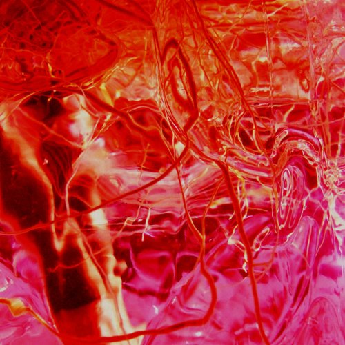 Blossom - Single