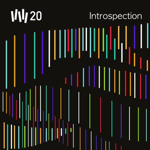 VW20: Introspection