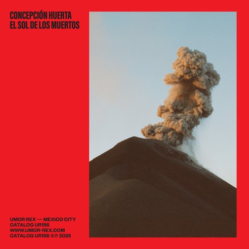 Los Ecos de las Voces del Silencio