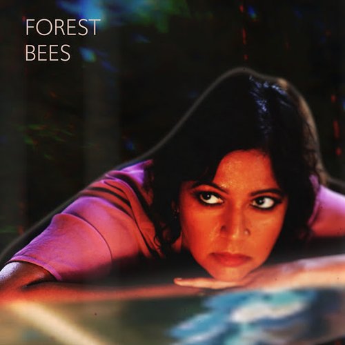 Forest Bees