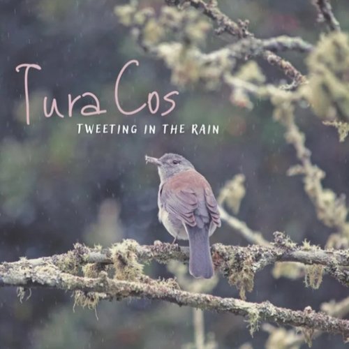 Tweeting in the Rain