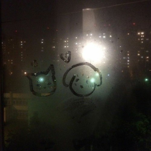 fog