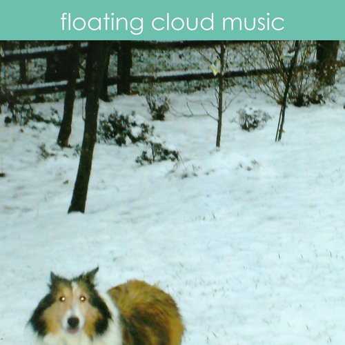 Floating Cloud Music